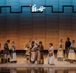Shen Ao-Drama THE MOTHER OF SU_S FAMILY-3 Large